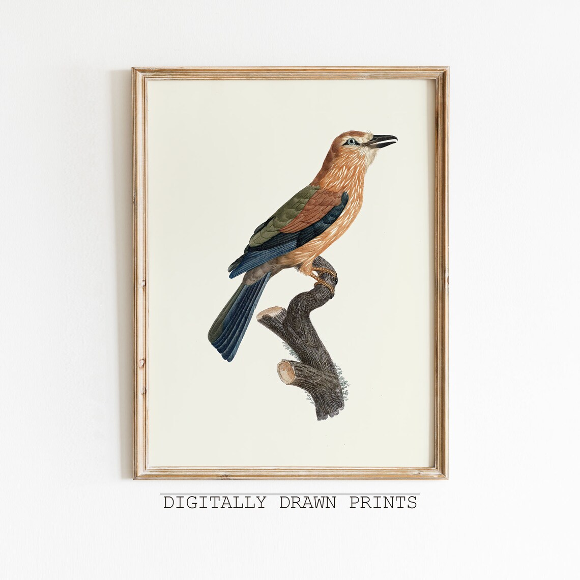 Vintage Bird Print, Antique Bird Drawing Art Print