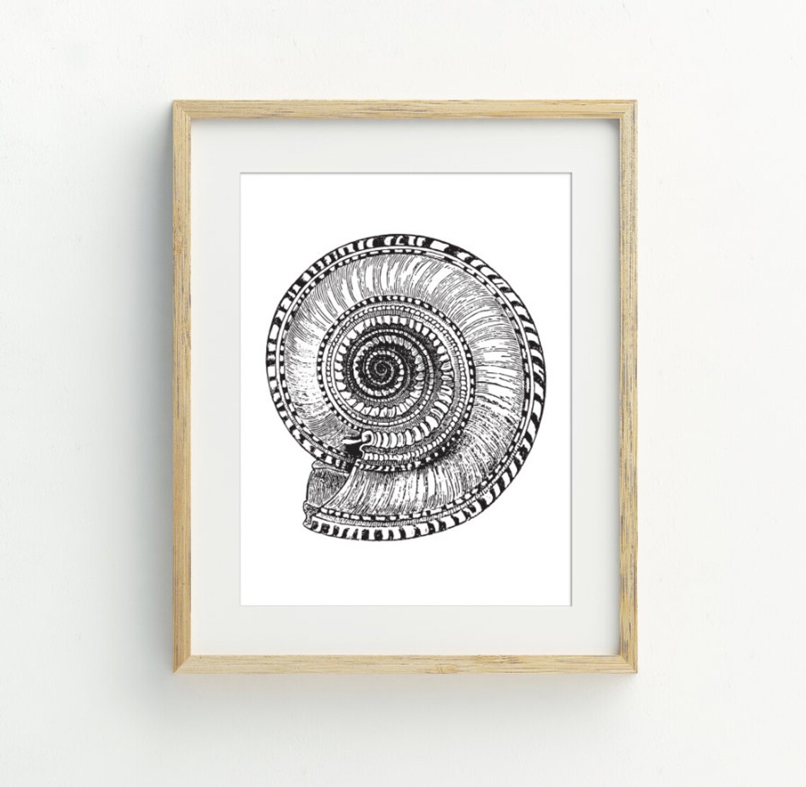 Black And White Nautilus Shell Engraving Print Coastal Sea Shell Wall Art Poster