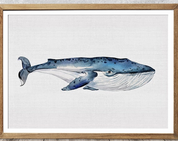 Whale Nursery Watercolor, Nautical Nursery Art Print