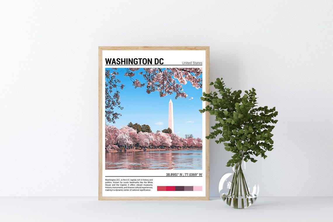 Washington DC Spring Cherry Blossoms Monument Blossom Scene Poster - Image 4