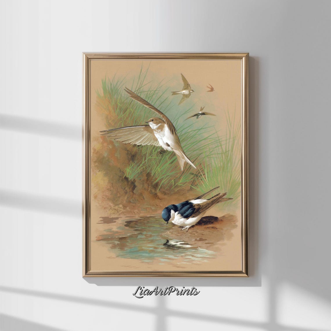 Swallows in Flight Over Water Vintage Chromolithograph Bird Art Poster