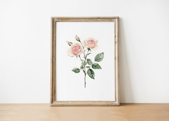 Vintage Botanical Rose Print Watercolor Wall Art Floral Instant Home Decor Flower Clipart
