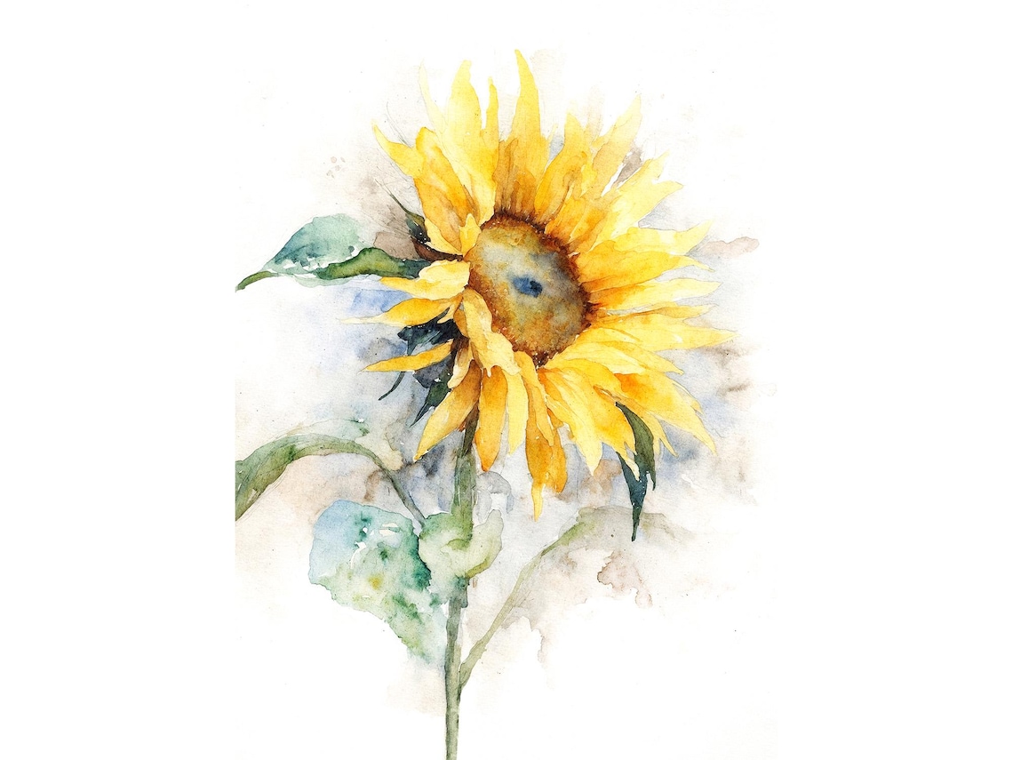 Sunflower Watercolor Art Print, Botanical Poster