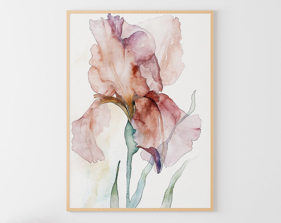 Dusty Pink Iris Flower Single Bloom Minimalist Watercolor Art Print