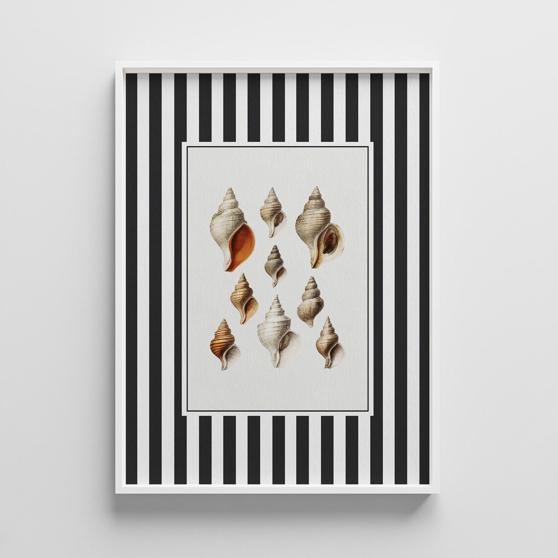 Vintage Seashell Illustration Print Coastal Cottage Wall Art