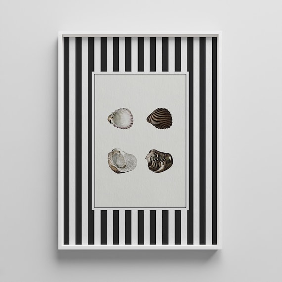 Four Vintage Seashell Illustrations on Black Striped Coastal Poster