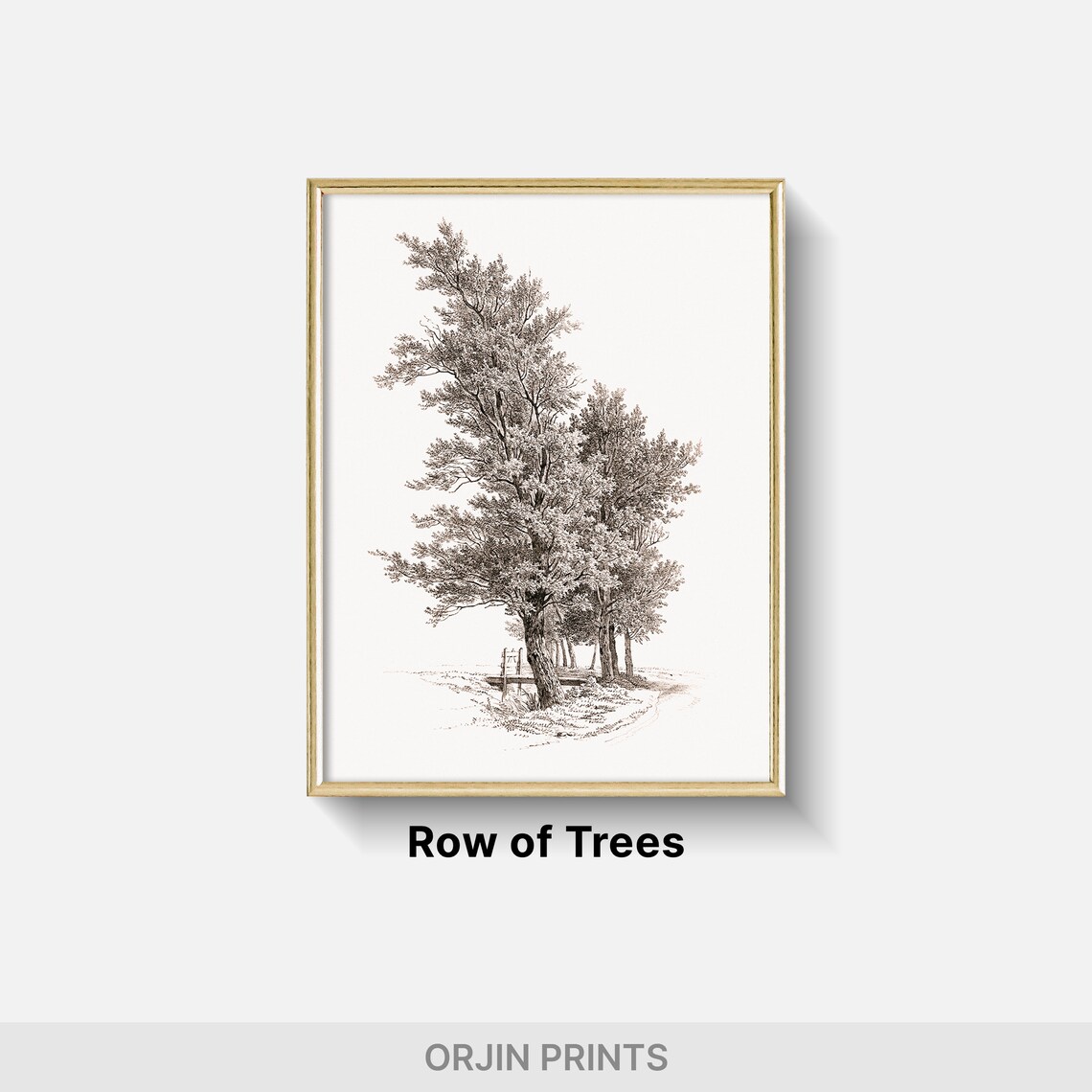 Tall Slender Trees Delicate Ink Drawing Minimalist Art Poster - Image 2