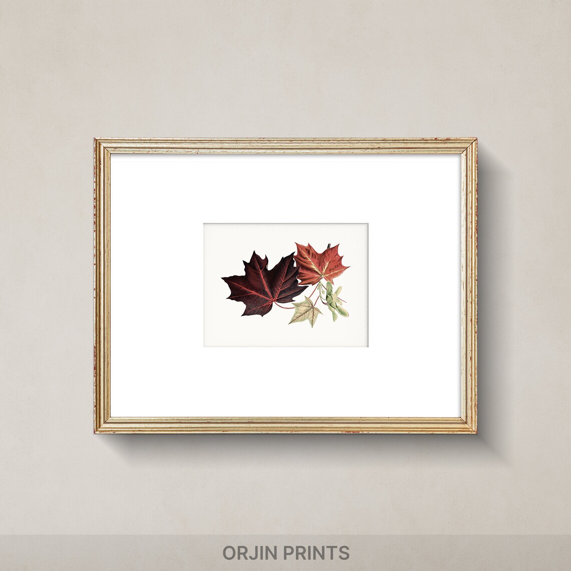 Fall Foliage Delight Red Maple Leaves, Autumn Decor