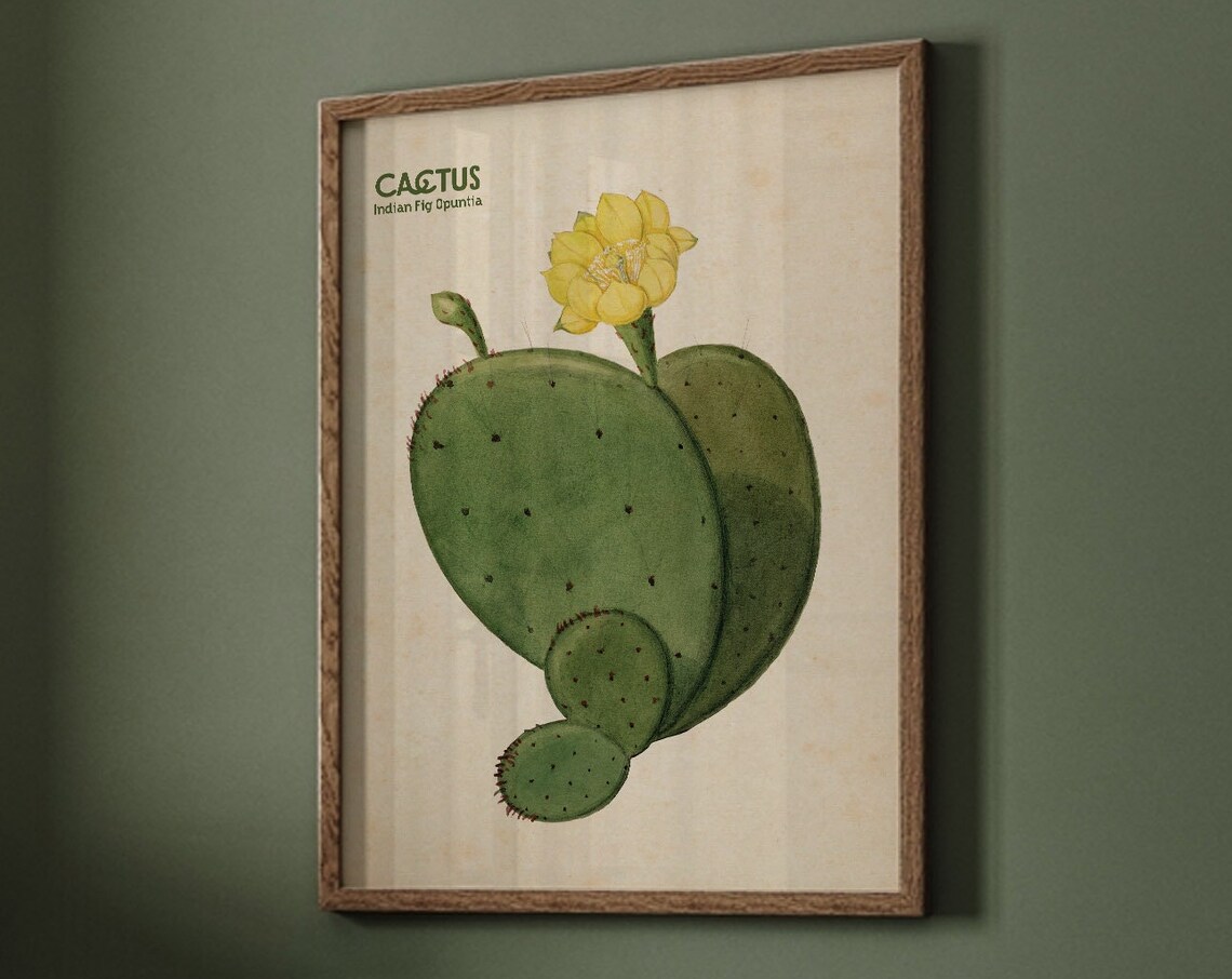 Prickly Pear Cactus Desert Art Print, Eclectic Decor