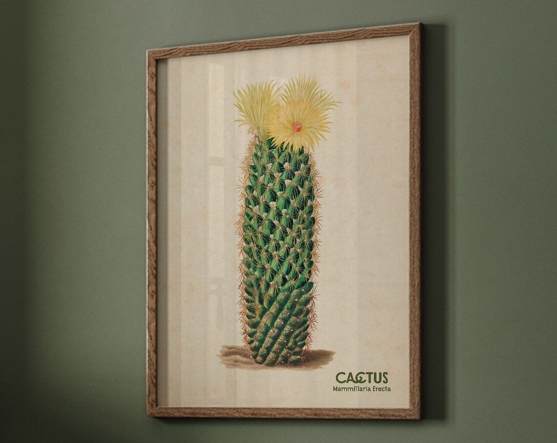 Vintage Cactus Print, Arizona Botanical Art