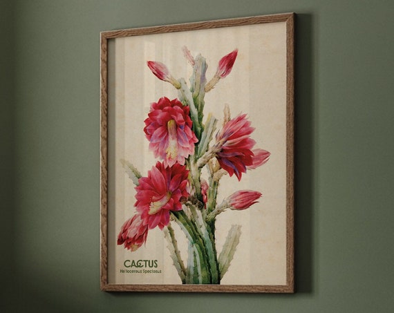 Flowering Desert Cactus Plant Art, Southwestern Decor