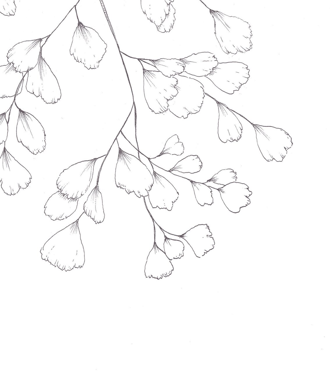 Maidenhair Fern Delicate Black Ink Botanical Line Art Poster - Image 2