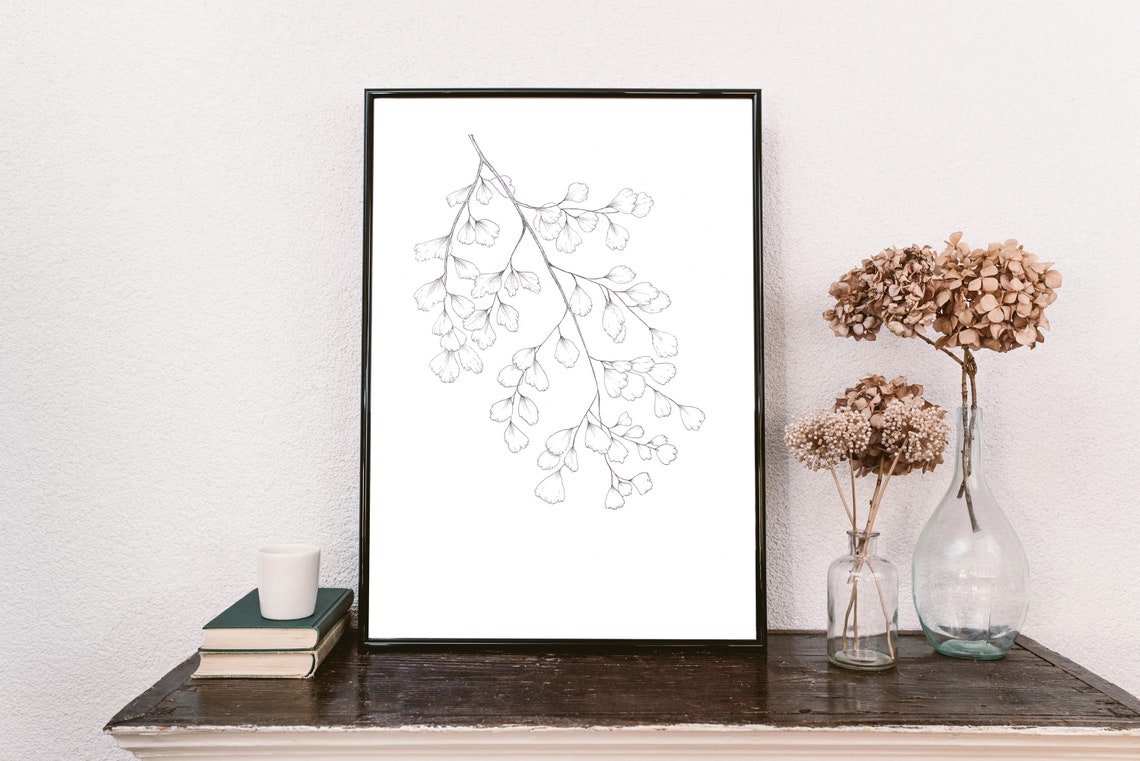Maidenhair Fern Delicate Black Ink Botanical Line Art Poster