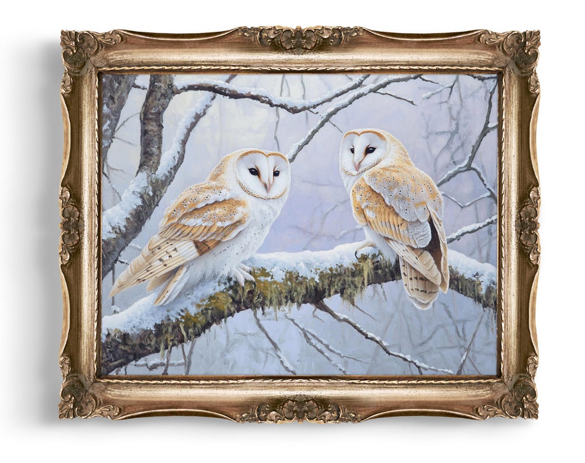 Barn Owls on Snowy Branch Winter Wildlife Bird Pair Framed Art Poster