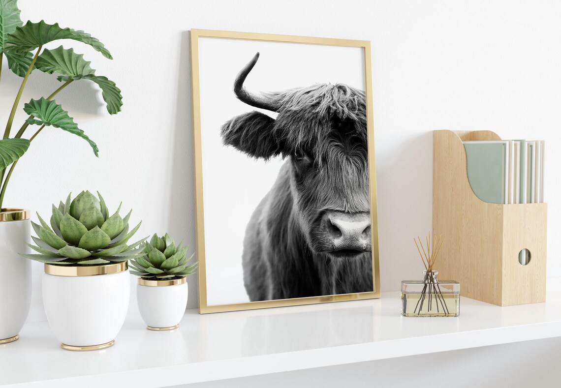 Shaggy Highland Cow Black And White Close-Up Photography Wall Art