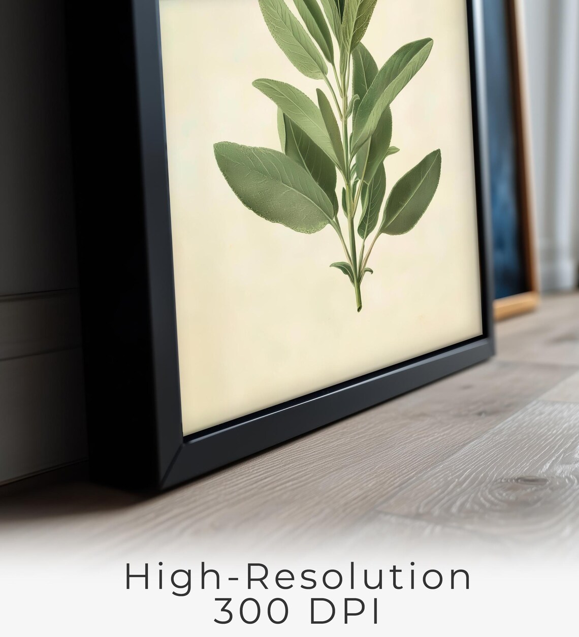 Sage Herb Illustration, Minimalist Botanical Decor - Image 2