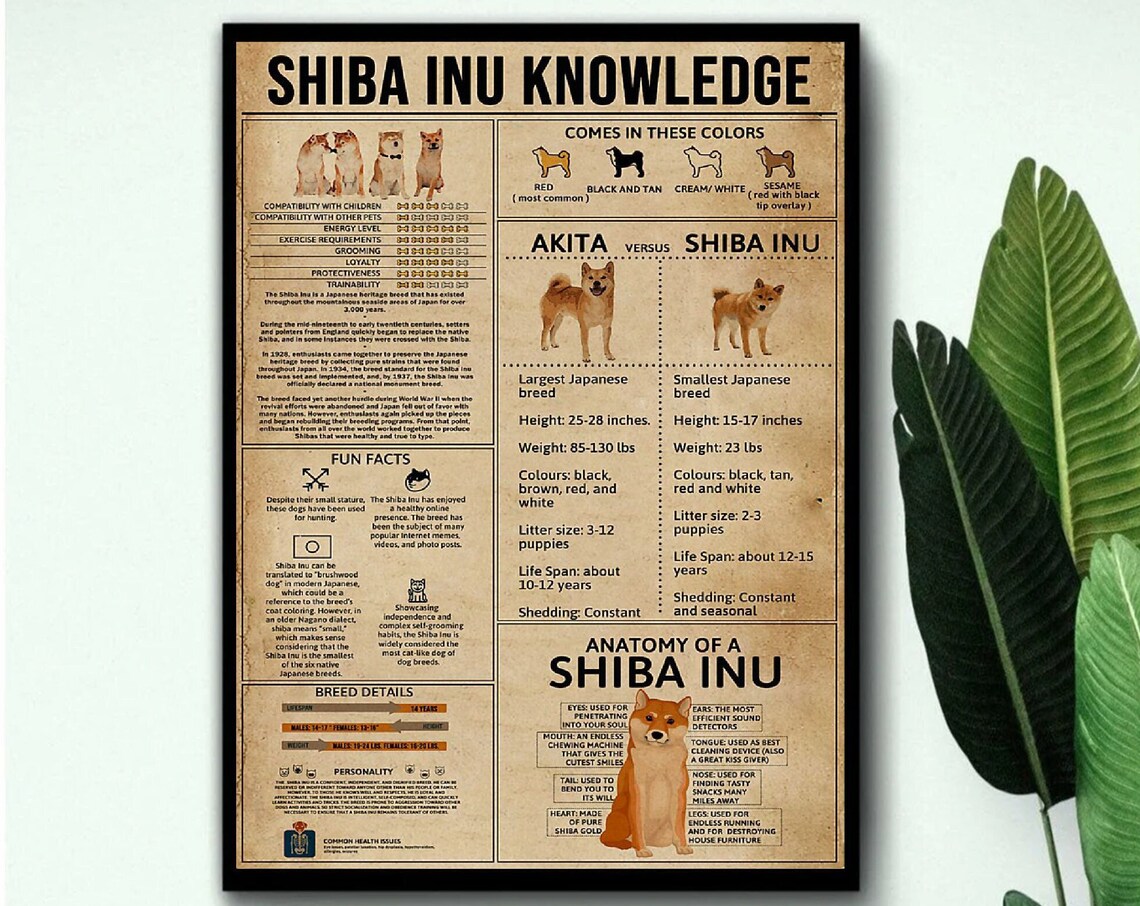Shiba Inu Knowledge Poster, Dog Lover Wall Art - Image 3