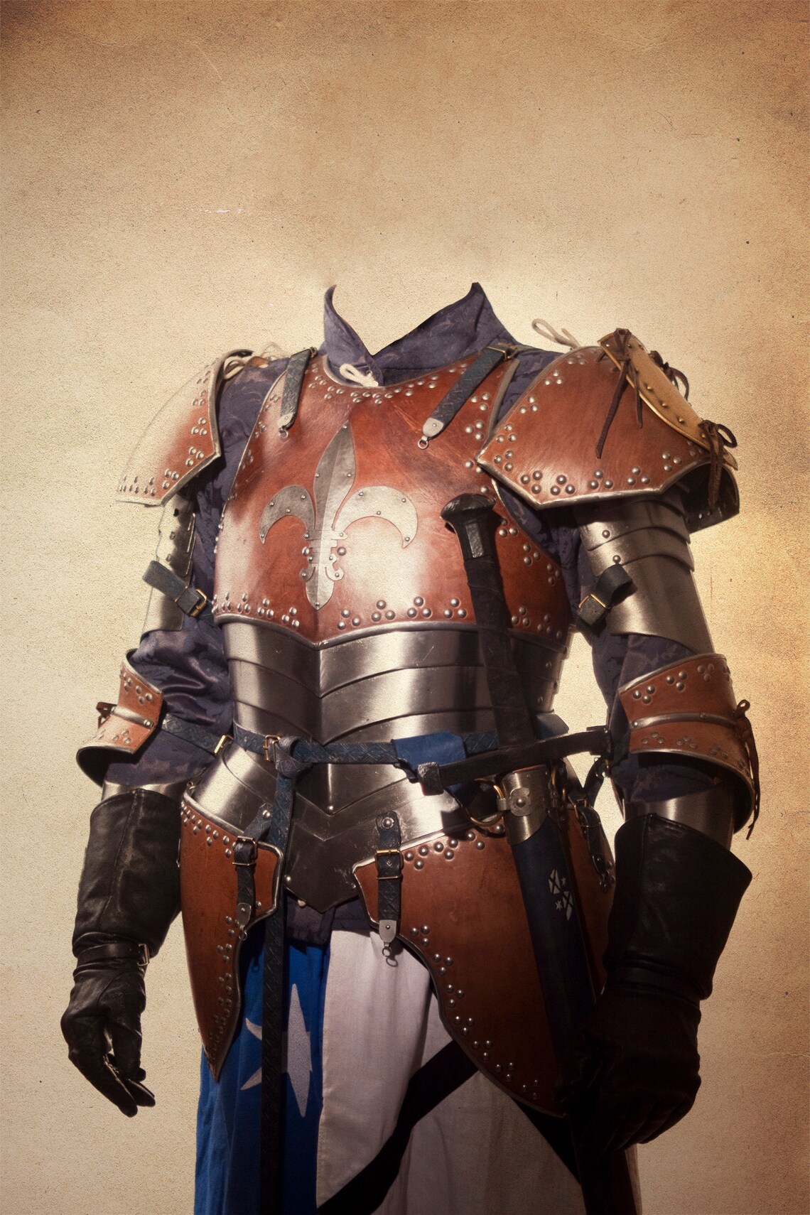 Custom Medieval Knight Pet Portrait, Oil Effect Art Print - Image 2