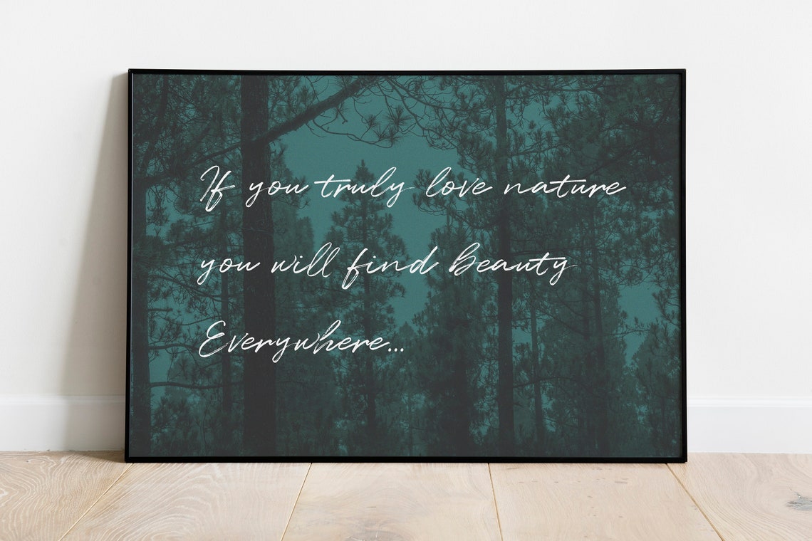 Find Beauty Everywhere Nature Quote Dark Pine Forest Horizontal Poster