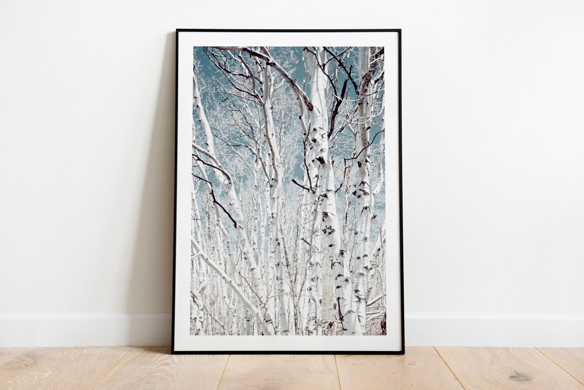 Forest Print Nature Art Tree Art Nature Poster Photography Prints Large Poster Wall Decor