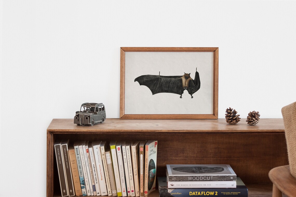 Vintage Fruit Bat Illustration Flying Fox Halloween Nature Art Poster - Image 2