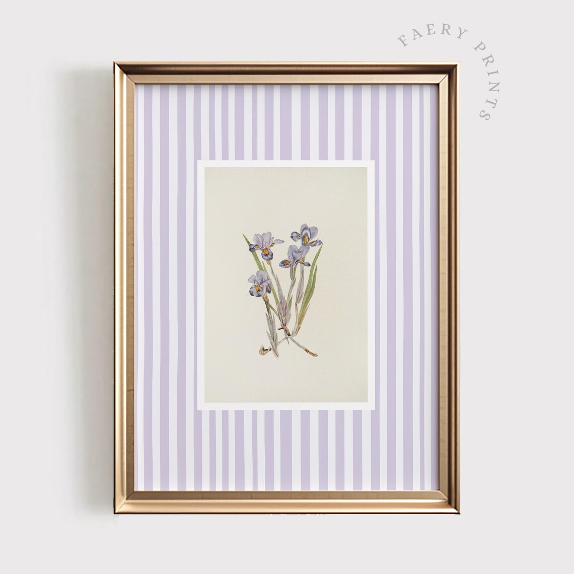 Vintage Lavender Botanical Illustration Purple Stripe Nursery Decor Poster