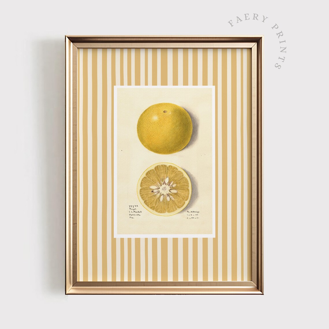Lemon Fruit Print, Modern Farmhouse Kitchen Decor
