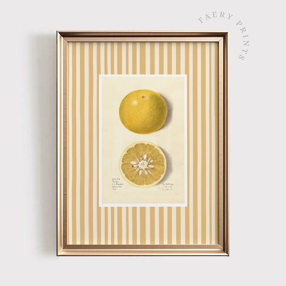 Lemon Fruit Print, Modern Farmhouse Kitchen Decor