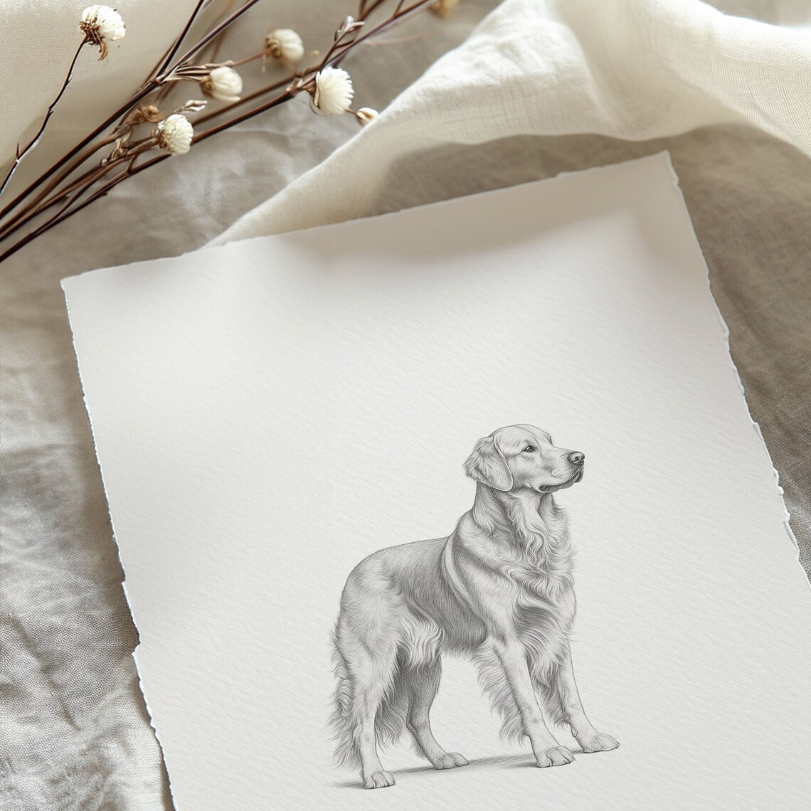 Golden Retriever Dog Sketch Art Print, Goldie - Image 5