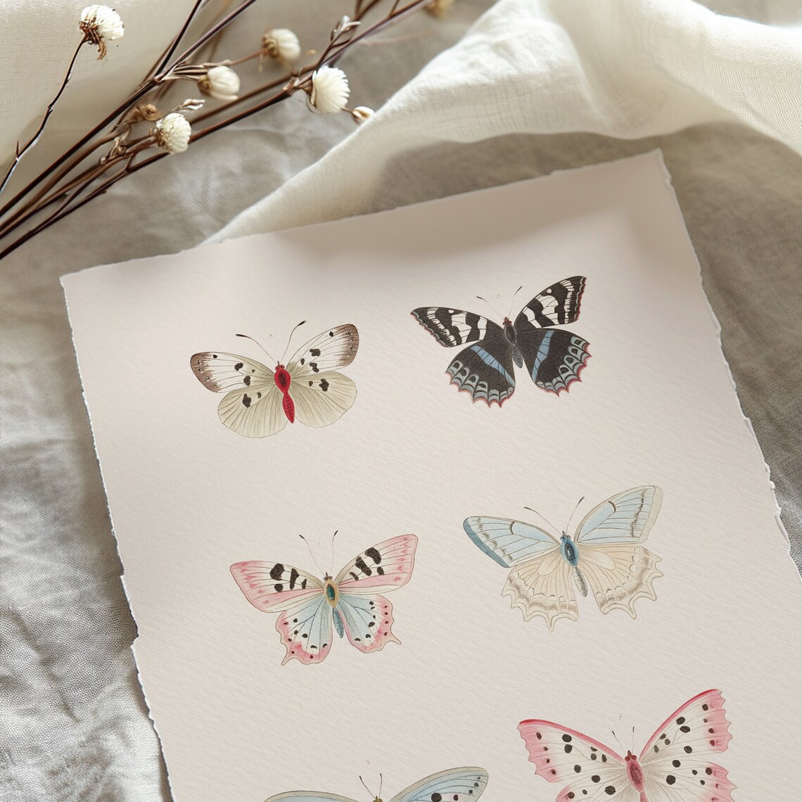 Butterfly Illustration Print, Light Academia Wall Art - Image 2