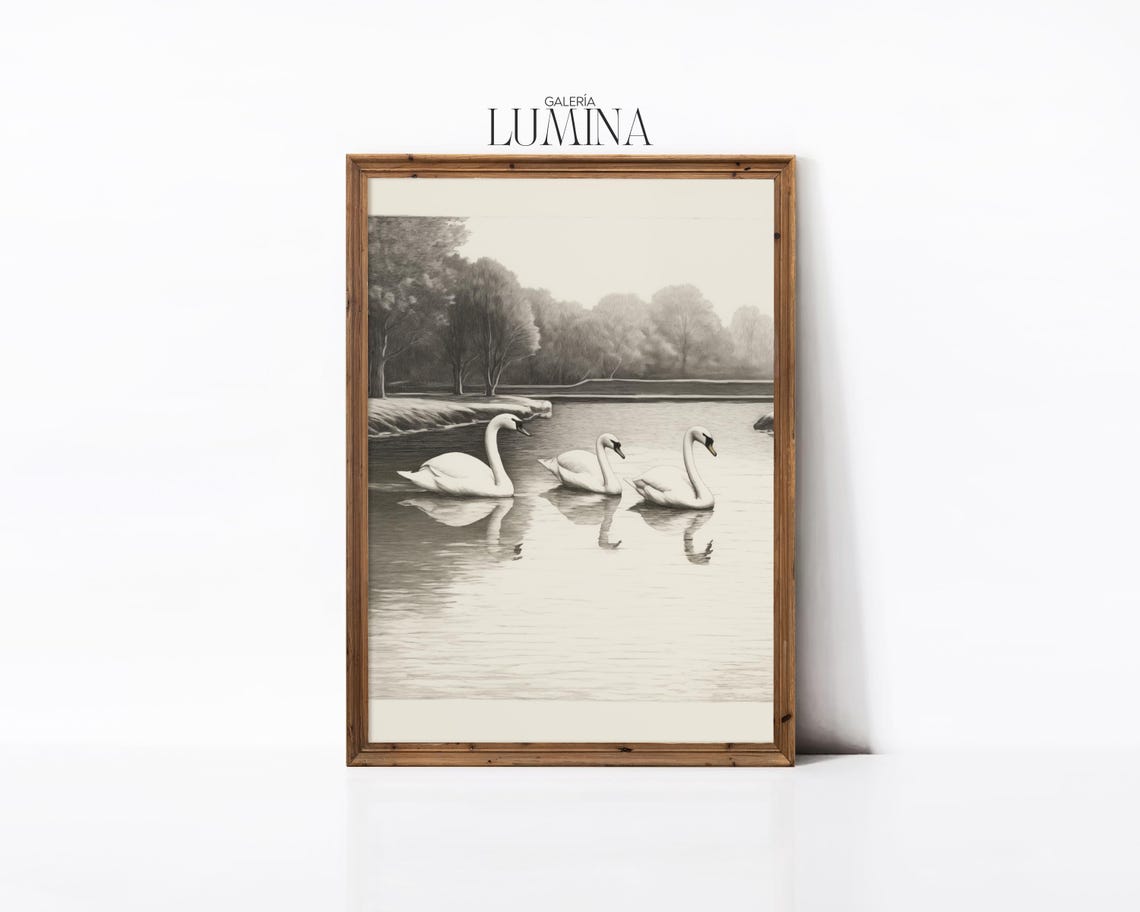 Three White Swans In Country Pond Vintage Etching Nature Poster - Image 3