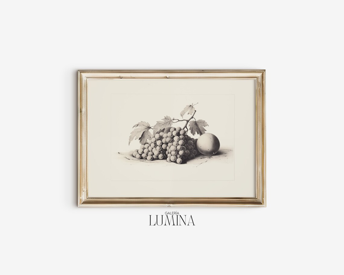 Fruit Still Life Etching Vintage Fruit Still Life Drawing Antique Kitchen Sketch Fruit Grapes Sketch Art Frame Tv Art 328 - Image 2
