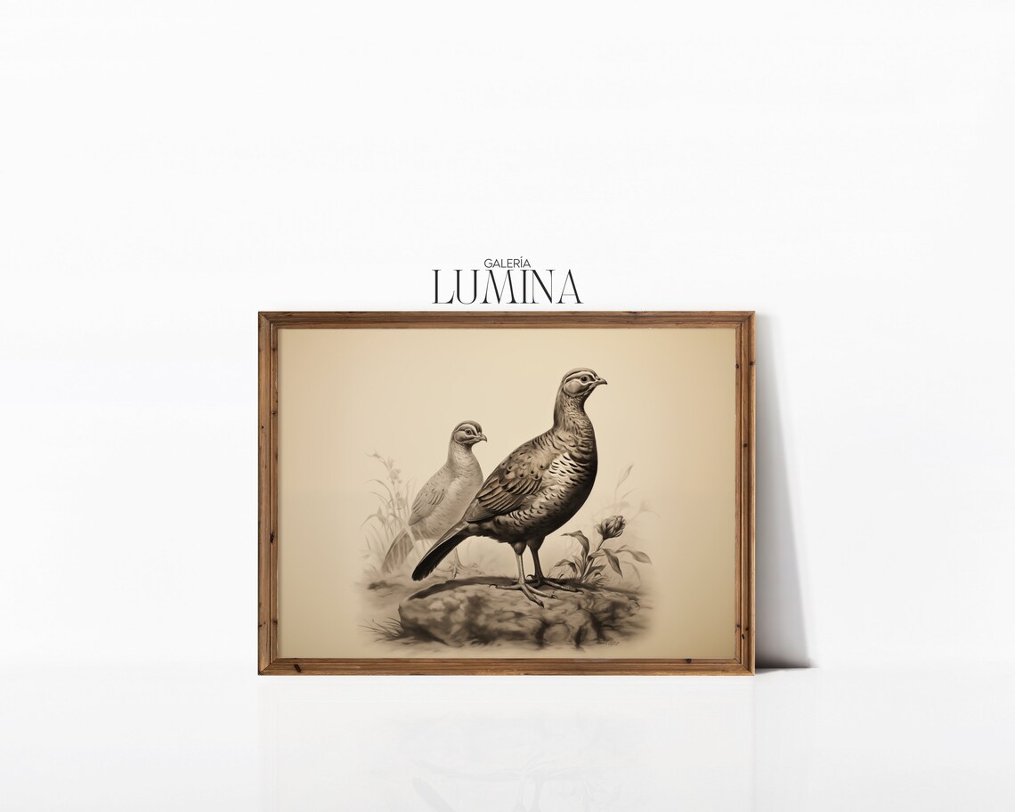 Quail Pencil Drawing, Vintage Neutral Bird Art Print - Image 3