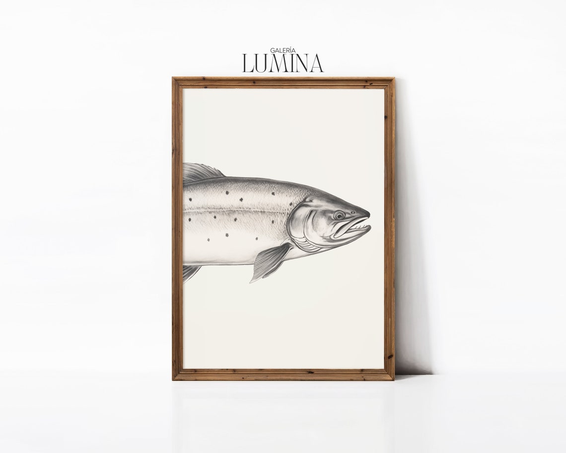 Minimalist Salmon Pencil Drawing Neutral Fish Illustration Salmon Sketch Fish Restaurant Wall Decor Art Frame Tv Art 260 - Image 3