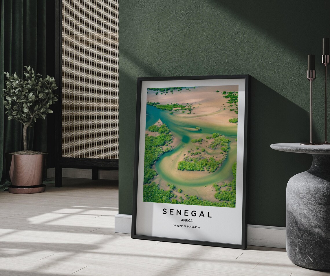 Senegal Africa River Delta Mangrove Aerial Photography Poster - Image 2