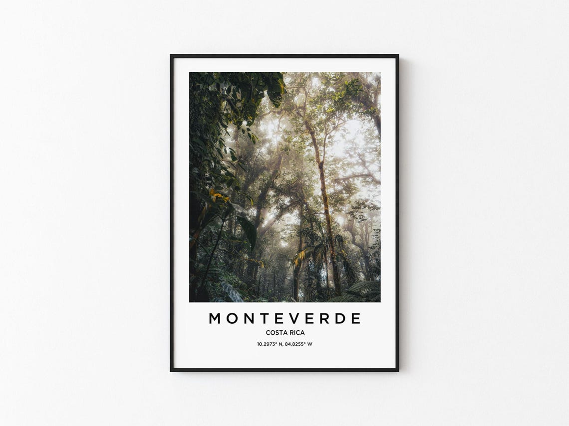 Monteverde Costa Rica Misty Cloud Forest With Beams of Light Poster