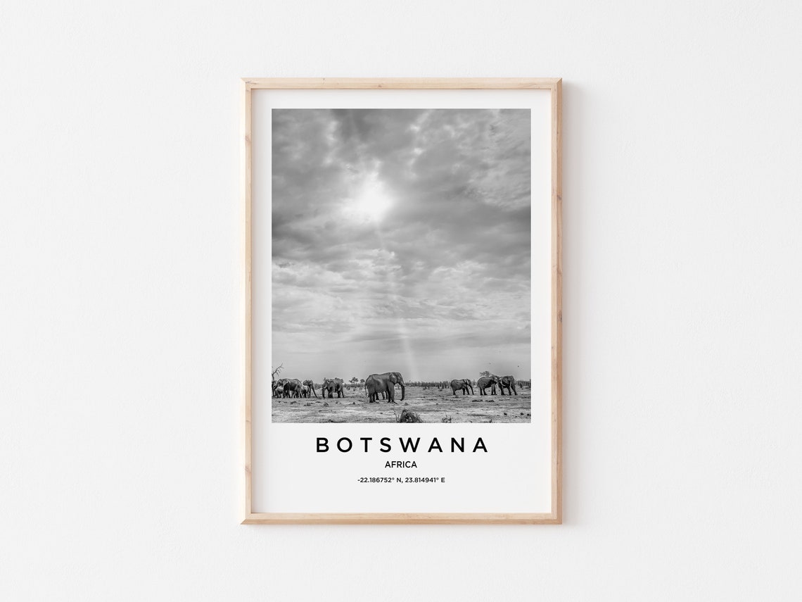 Botswana Africa Elephants Savannah Black and White Photo Poster - Image 3