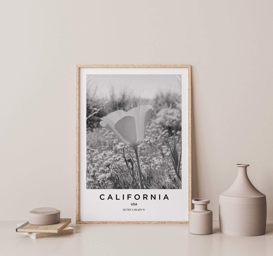 California Travel Poster California Print California Photo Print Black And White Photography Monochrome Travel Photography America - Image 3