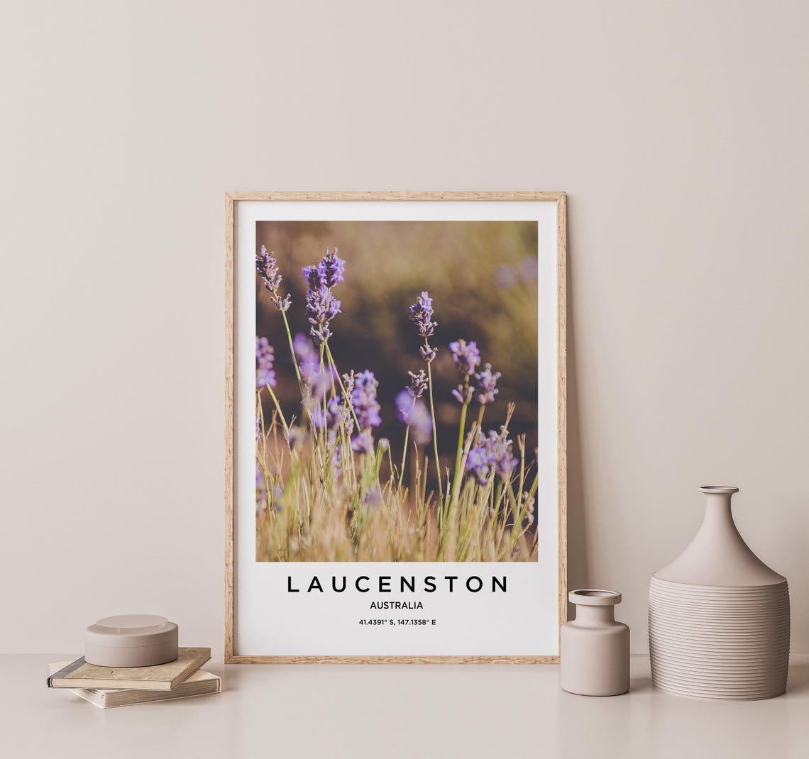 Launceston Tasmania Australia Lavender Flowers in Soft Light Poster - Image 2