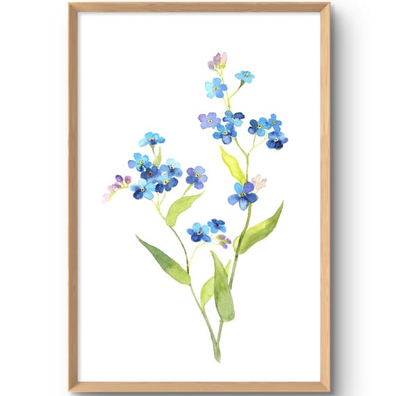 Forget Me Not Art Print Floral Wall Botanical Watercolor Wildflowers Decor Blue Flowers Poster From Original Painting