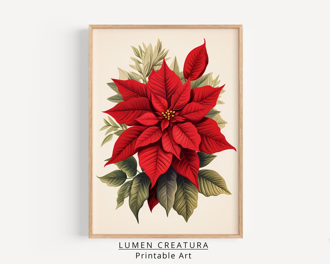 Vintage Poinsettia Antique Flower Art Print