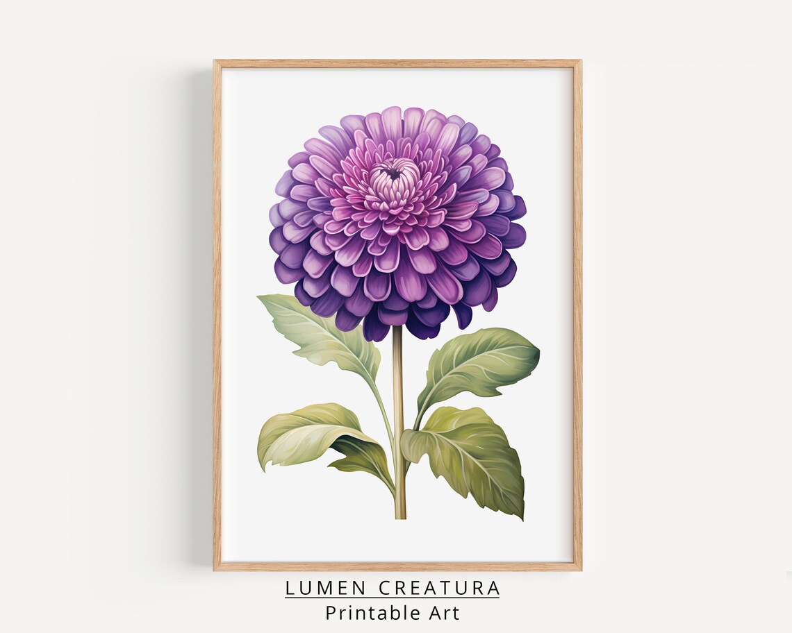 Vintage Purple Zinn, Antique Botanical Flower Print