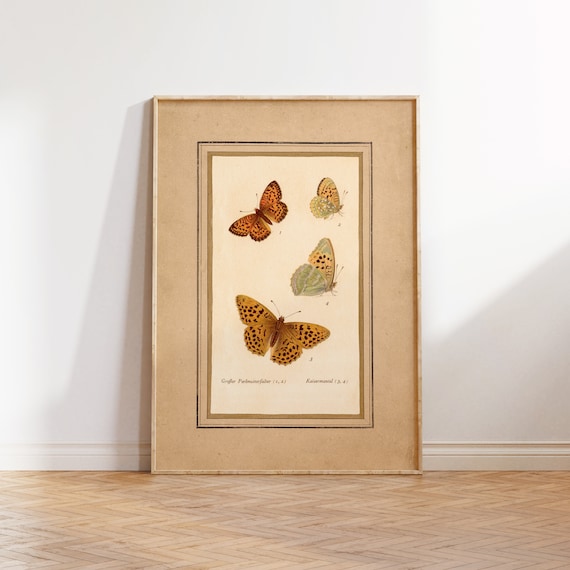 Vintage Butterflies Illustration Poster Print