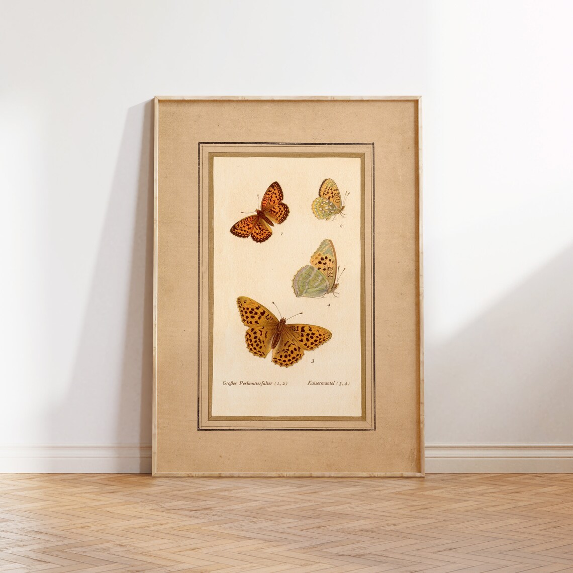 Vintage Butterflies Illustration Poster Print
