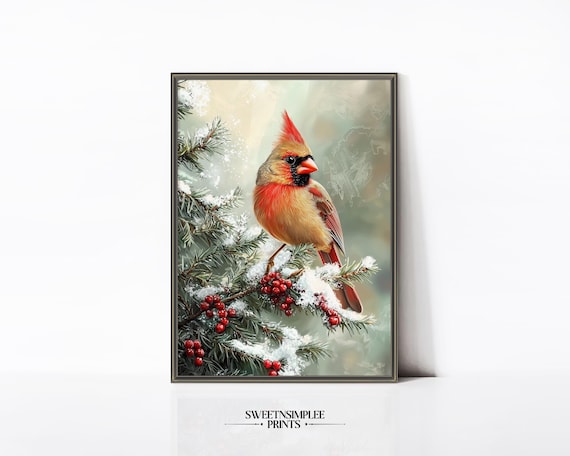 Northern Cardinal Perched On Snowy Pine Branch With Berries Poster
