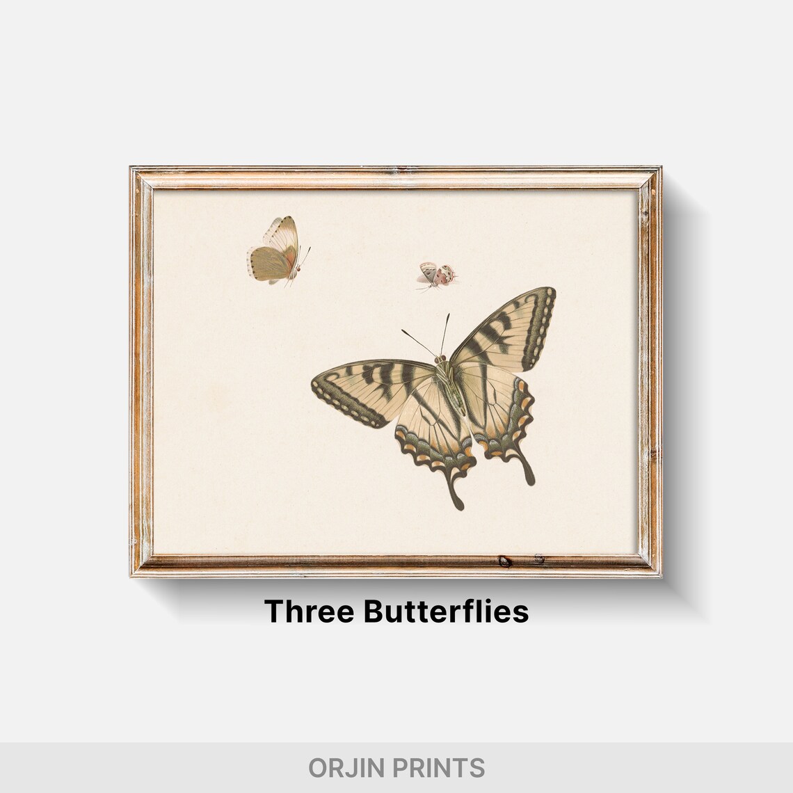 Tiger Swallowtail Butterfly Vintage Entomology Illustration Poster - Image 2