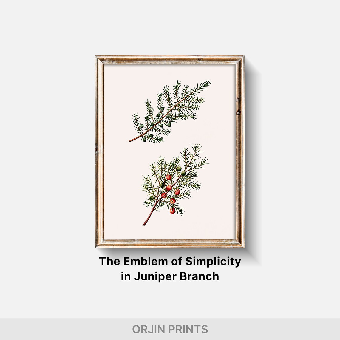 Botanical Juniper Branch Art Print, Rustic Greenery Decor - Image 2
