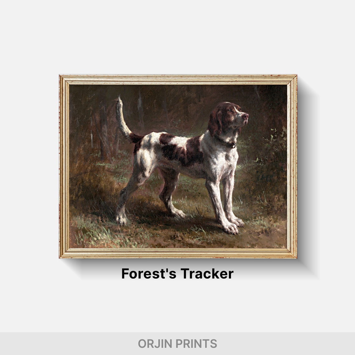 Pointer Hunting Dog Alert Forest Portrait Vintage Art Poster - Image 2