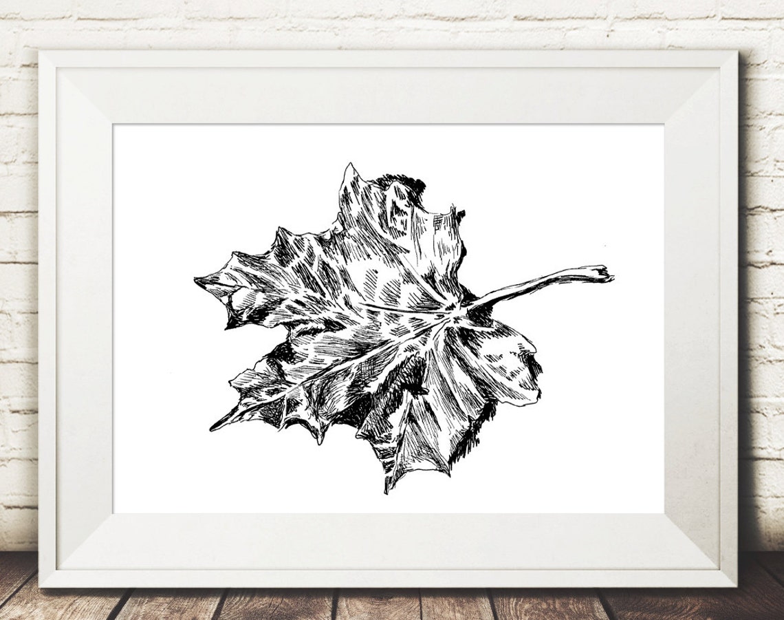 Maple Leaf Ink Drawing Black and White Autumn Botanical Art Poster - Image 2