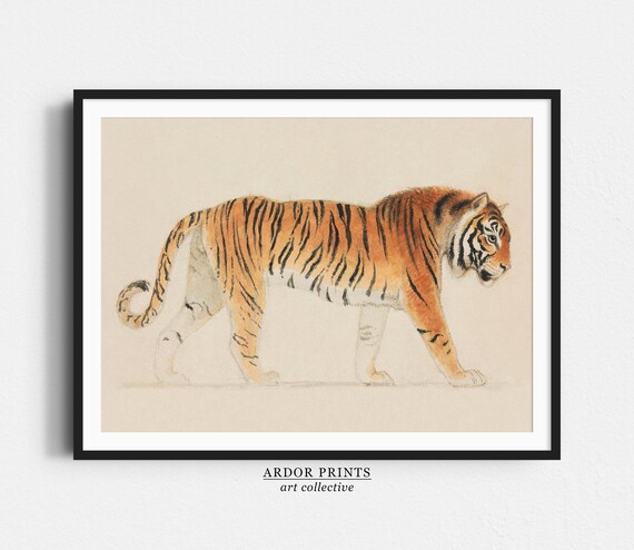 Pacing Tiger Muted Watercolor Painting Vintage Animal Artwork Poster
